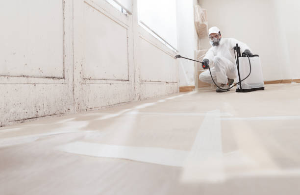 24/7 Emergency Bathroom Mold Removal experts in Sun City, AZ
